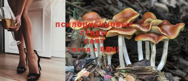 герыч Балахна