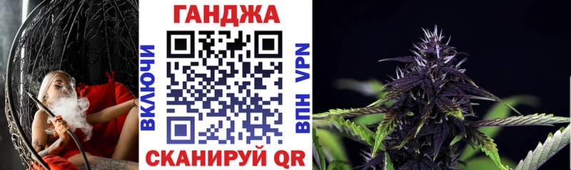Канабис сатива Калининец